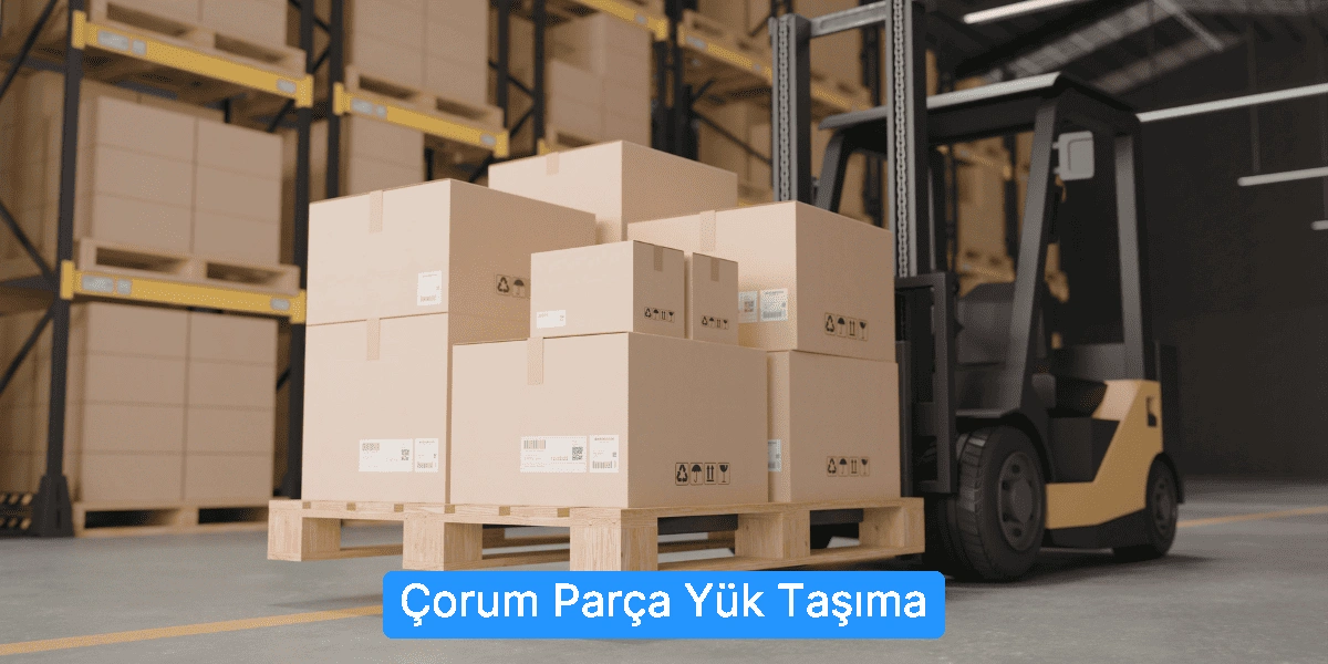 Parça Yük Taşıma