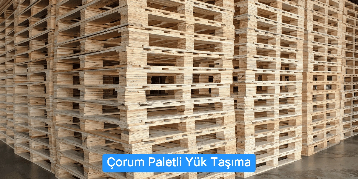 Paletli Yük Taşıma