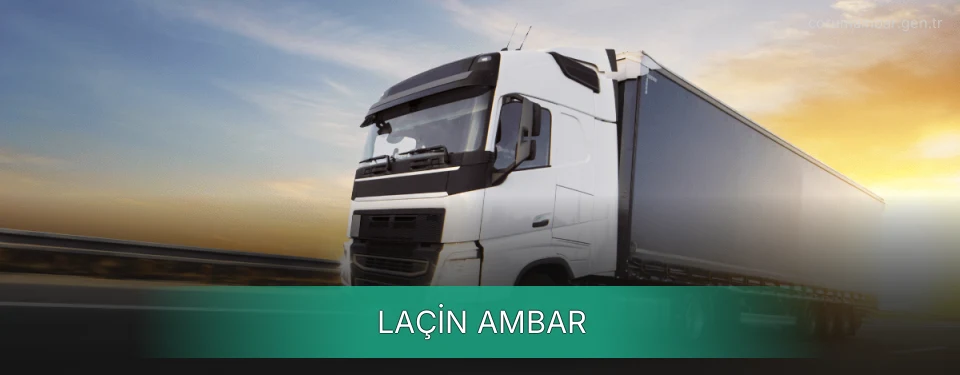 Laçin Ambar