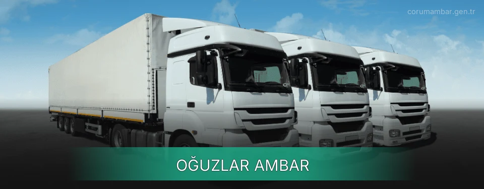 Oğuzlar Ambar